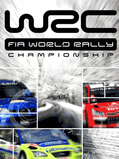 Uz_world_rally3d